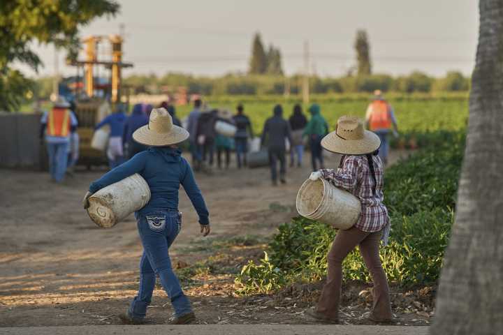 1.2 million immigrants are gone from the US labor force under Trump, preliminary data shows