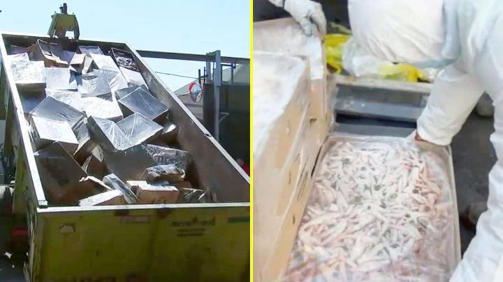 Cabezas de chancho, patas de pollo y más: Hallan más de 15 toneladas de carne descompuesta en frigorífico clandestino