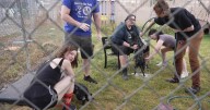 Meth incineration mishap sickens animal shelter employees in Billings