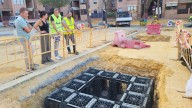 El Ayuntamiento optimiza el crecimiento de los árboles con un sistema pionero