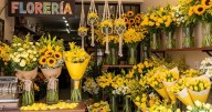 ¿Cuándo se regalan flores amarillas en septiembre? Estas son las mejores opciones para dar