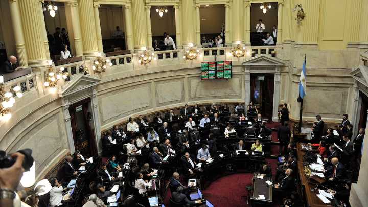 El Senado debatirá mañana el veto a la emergencia en discapacidad