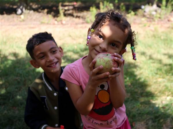 Families peel back fun at apple festival