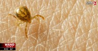 Study examines disease-carrying tick hot spots in Illinois