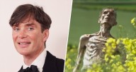 Cillian Murphy Reacts to Being Mistaken for Zombie in '28 Years Later' Trailer