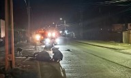 Yegua atropellada contaba con chip lo que permite identificar a su dueño; municipalidad anunció querella