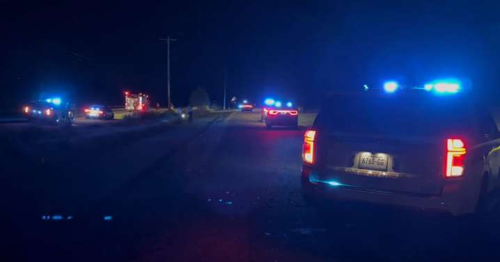 Driver killed after car crashes into tree, catches fire near Shelby Farms Park, SCSO says
