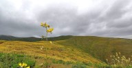 GRA asumirá demarcación de hitos en pampas de Cachendo y Cachuyo