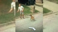 Texas Woman Is Stunned After Opening Google Earth Only To Relive A Heartwarming Memory From 2007