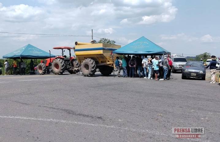 Superintendencia de Industria y Comercio autorizó acuerdo para fijar precios mínimos al arroz paddy verde