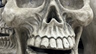 Reno haunted houses and events: Reno’s 2025 spooky season guide