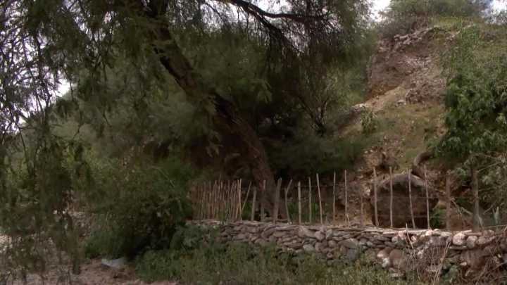Muere Minero Tras Derrumbe de Mina en Pinal de Amoles, Querétaro ¿Qué se Sabe del Caso?