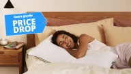 Essential bed bug prevention kit: Everything I'd buy in the extended Labor Day sales to keep bed bugs (and other nasties) out of my mattress and sheets