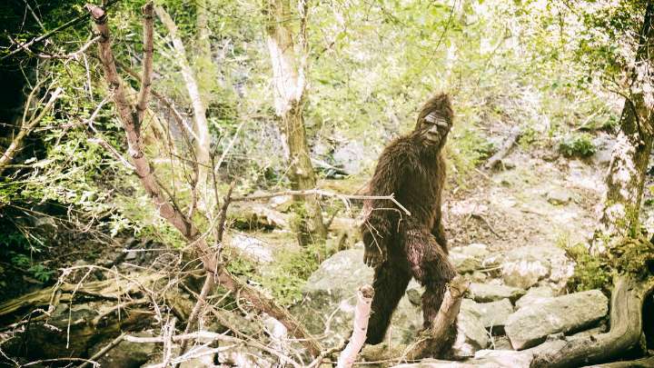 Trail Camera Purportedly Captures 'Bigfoot' Near Creek In Missouri