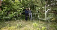 City to redefine what you can do with your garden
