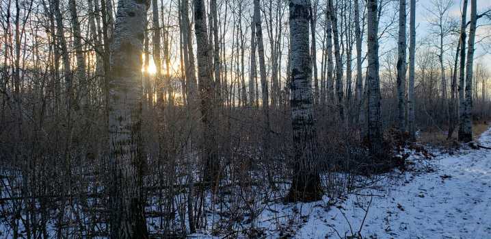 Dokken: DNR request for hunter wildlife sightings triggers memory of llama encounter