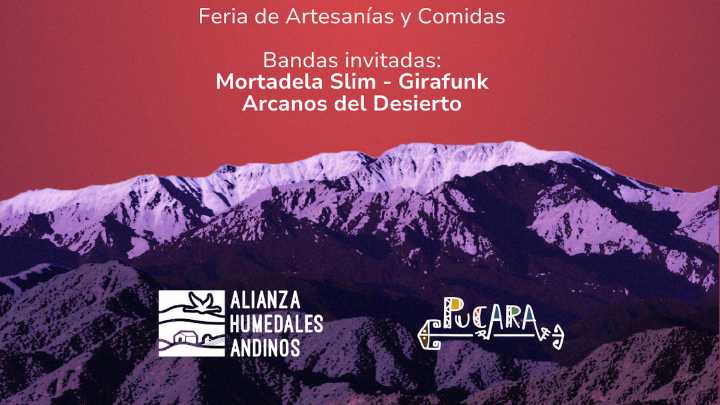 Organizaciones realizarán el Festival Ambiente y Primavera: el agua vale más que el litio