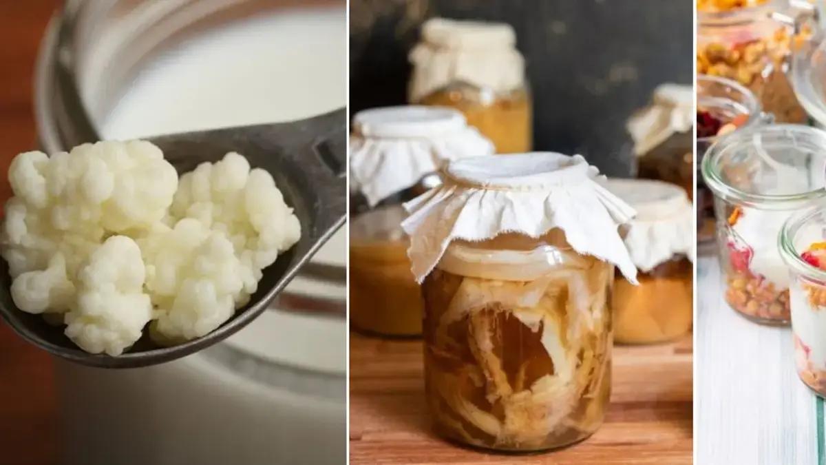 Kéfir, kombucha o yogur: diferencias, beneficios, propiedades y mejor momento para consumirlos
