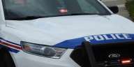 Police Dog Assists RNC in Finding Assault Suspect in Paradise