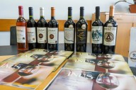 Vinos pampeanos cosecharon 20 distinciones internacionales