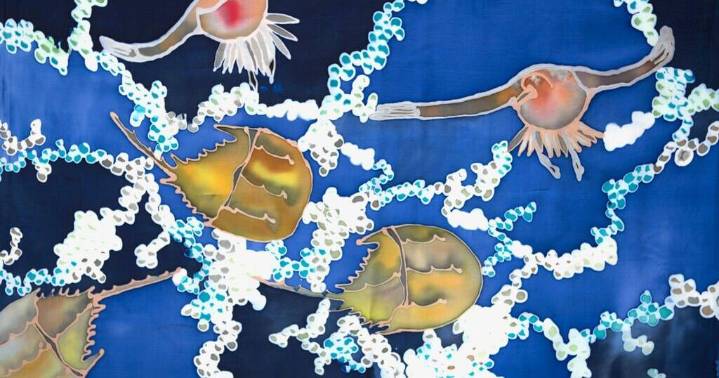 The Great Marsh comes to life in silk