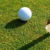 Elk Rapids, Harbor Springs only area girls golf teams in state rankings
