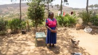 The U.N. utters the word: Dementia