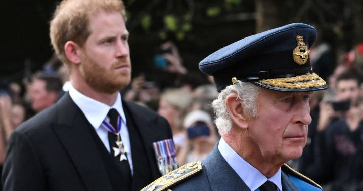 Harry attacks 'men in grey suits' wrecking relations with his father