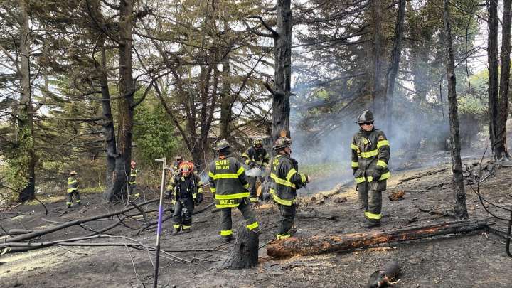 Brush fire near I-5 in Seattle cause
