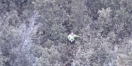 A California woman was found stranded at Pigeon River State Forest after failing a YouTube Survival challenge.