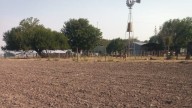 La reacción de los productores a la eliminación temporal de las retenciones: "Es solo para ingreso de dólares”
