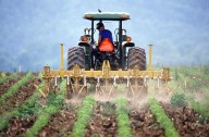 'Wounded' and 'worried': US farmers struggle financially as loyalty to Trump is tested