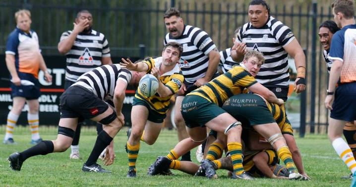 Live: Kiama and Shoalhaven set for Illawarra rugby finale