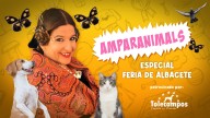 'Amparanimals' celebra un evento especial en la Feria de Albacete con exhibiciones caninas y testimonios