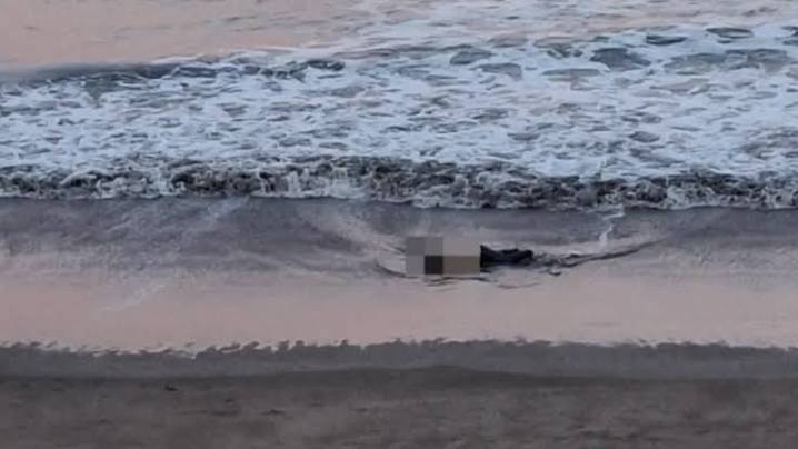 Identificaron a la mujer que encontraron muerta y semidesnuda en las playas de Mar del Plata