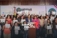 Mujeres de la Red Nacional de Refugios acusan falta de claridad en Presupuesto 2026