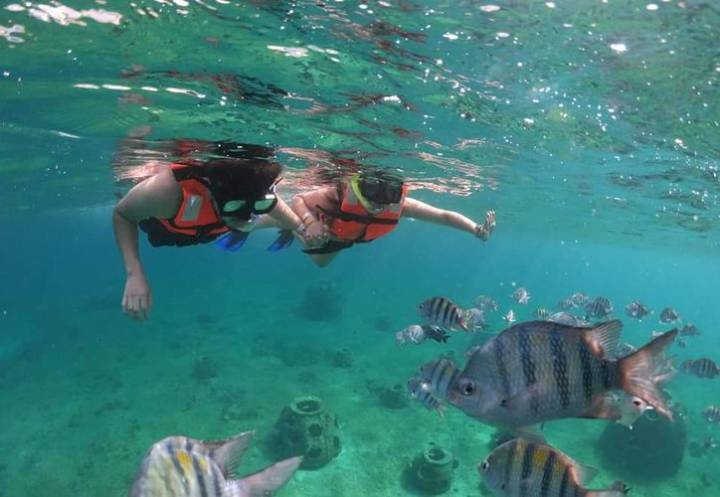 Quintana Roo monitorea sus especies de peces