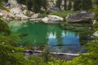 Yosemite's Ecosystem Has Been Rebooted Thanks To One Adorable Animal