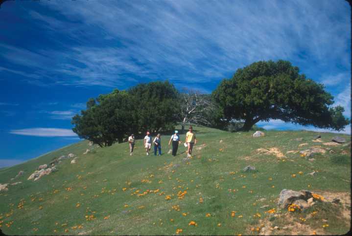 Rainbow Sierrans, the Sierra Club’s first LGBTQ hiking group, on 40 years of trekking together