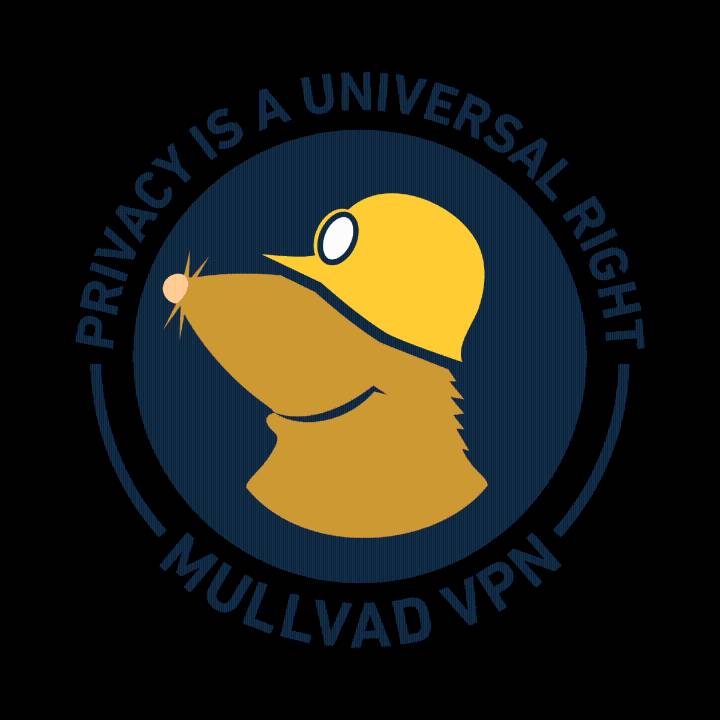 Hey, QUIC! Check Out This New VPN Feature to Avoid VPN Blocks.