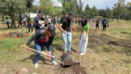 Plantan más de 400 árboles en el parque Tangamanga I