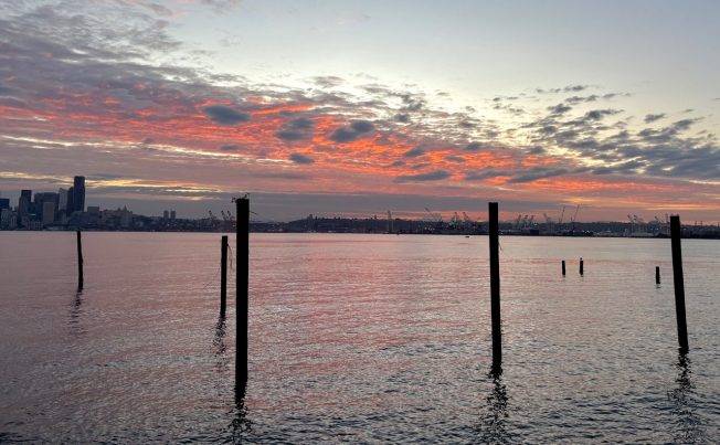 West Seattle Blog… | WEST SEATTLE SATURDAY: 35 notes!
