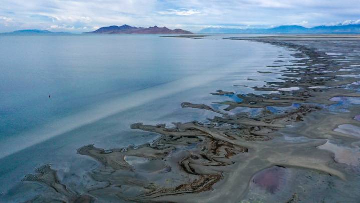 El húmedo origen detrás de las misteriosas ‘islas vivientes’ del Gran Lago Salado