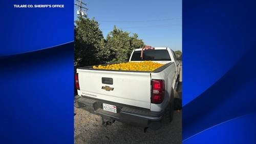 5 arrested for stealing oranges in Tulare County, deputies say