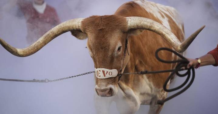 Live animal mascots inspire fans, create deep connections