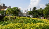 Cali refuerza compromisos ambientales 