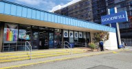 Halloween Goes Green: Evergreen Goodwill makes Sustainability Spooktacular