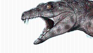 Teeth Of Prehistoric Crocodyliforms Suggest They Evolved To Be Herbivores Several Times