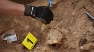 Impactante hallazgo en Viena: fosa común revela lo que no se imaginaban
