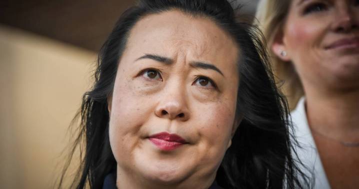 New Liberal shadow cabinet rules set 'dangerous precedent': Lee